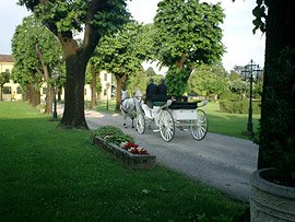 botanico01
