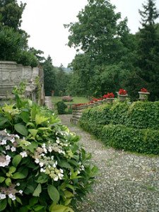 botanico04
