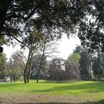 giardini villa castelbarco