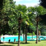 piscina per eventi villa