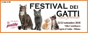 festival dei gatti 2018
