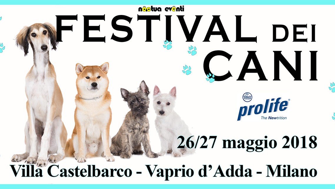 Festival dei cani