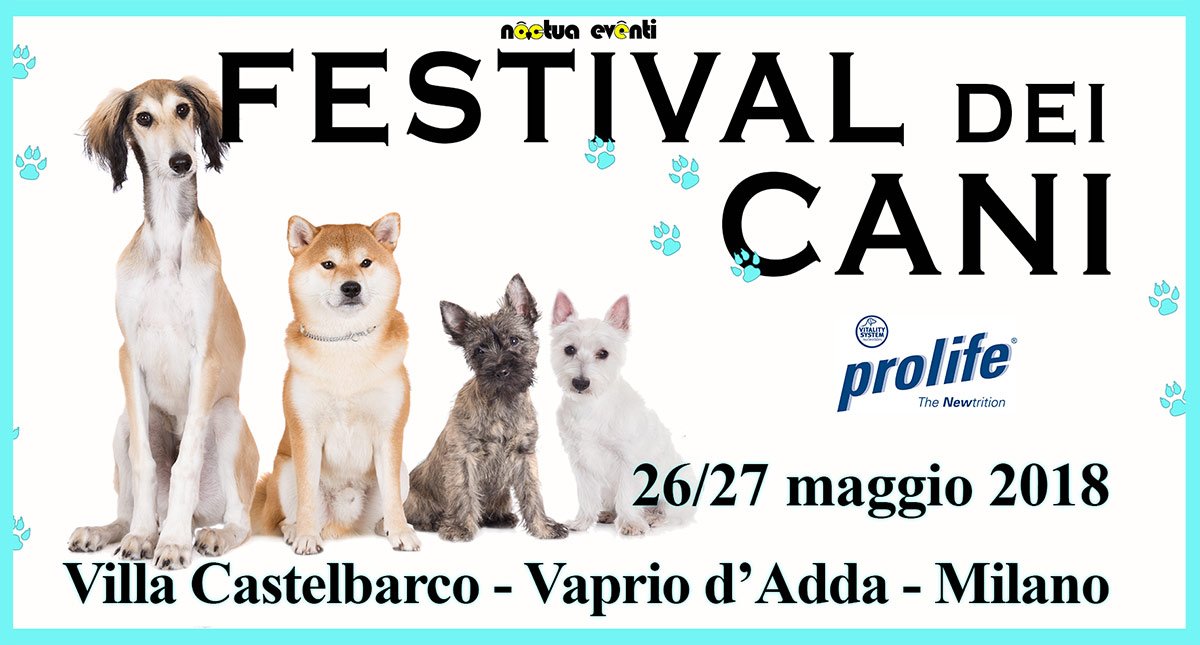 Festival dei cani