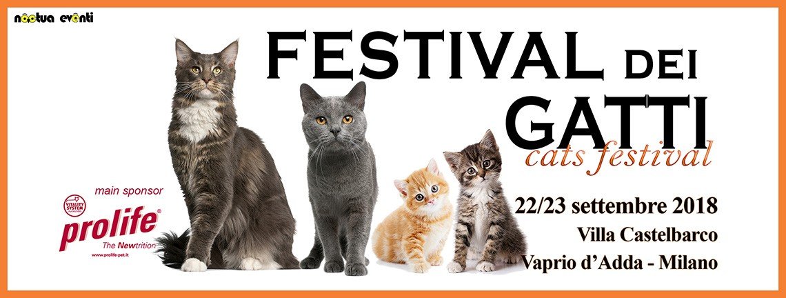 Festival dei Gatti