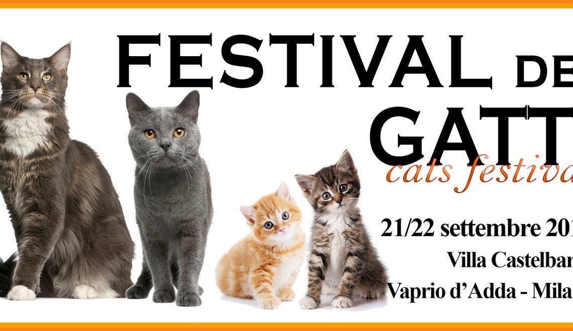 festival dei gatti 2019