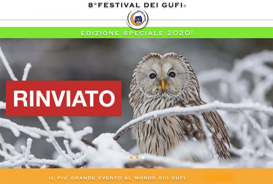 Festival dei Gufi - RINVIATO AD AUTUNNO