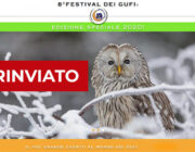 8_festival_dei_gufi_rinviato_def