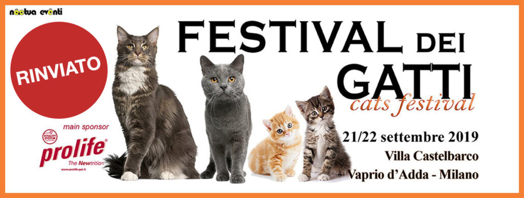 organizzazione mostre festival gatti